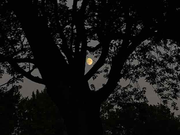 moonaug28
