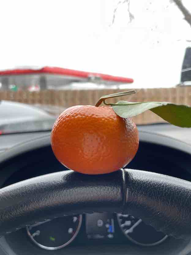 tangerine