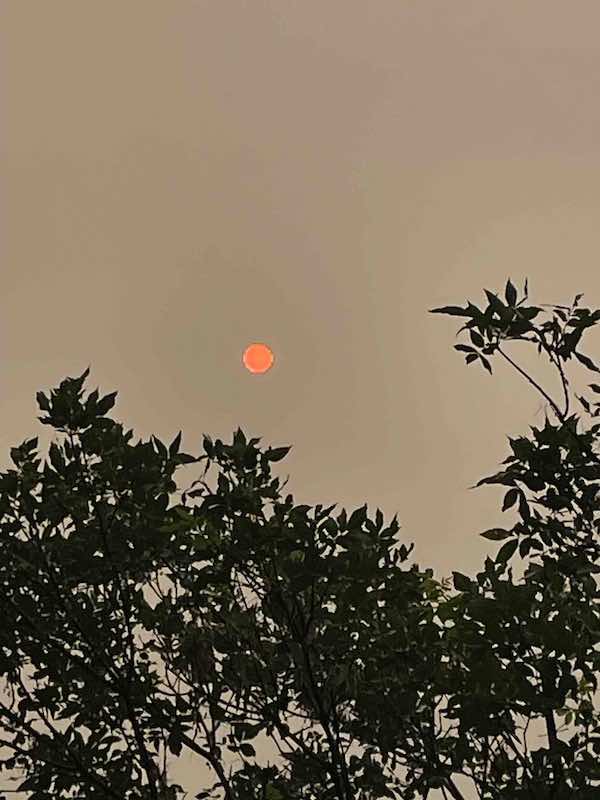 redsunsky
